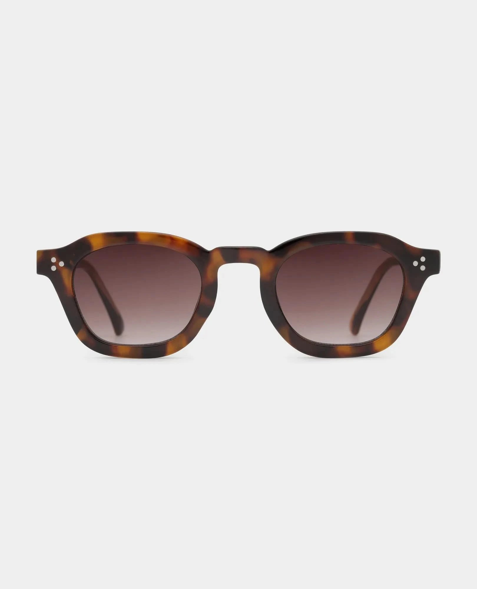 משקפי שמש - NINO - B Unique - משקפי שמש